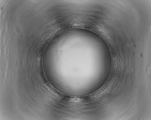 X0000086940269200705071425