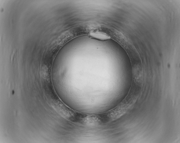 X0000086940270200705071425