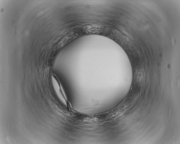 X0000086940271200705071425