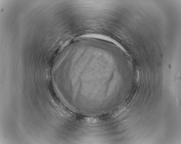 X0000086940272200705071425