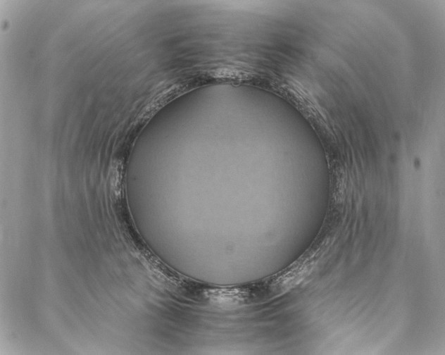 X0000086940273200705071425