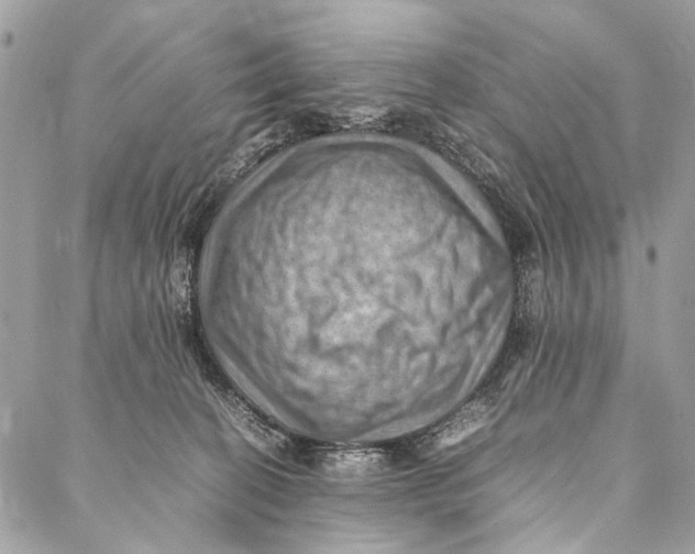 X0000086940274200705071425