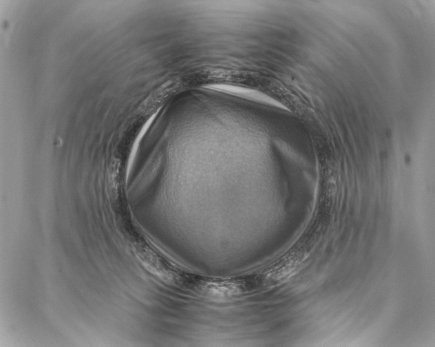 X0000086940275200705071425