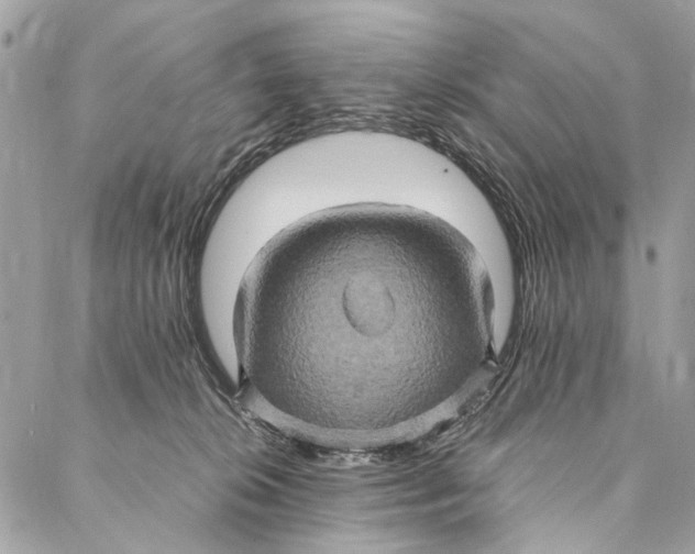 X0000086940276200705071425