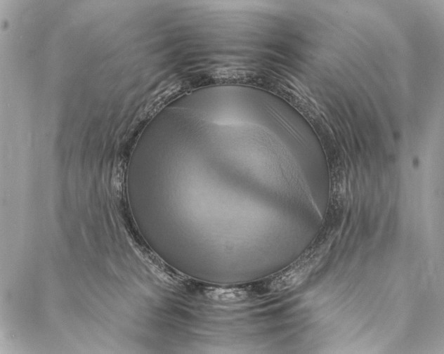 X0000086940277200705071426