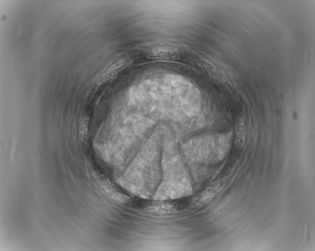 X0000086940278200705071426