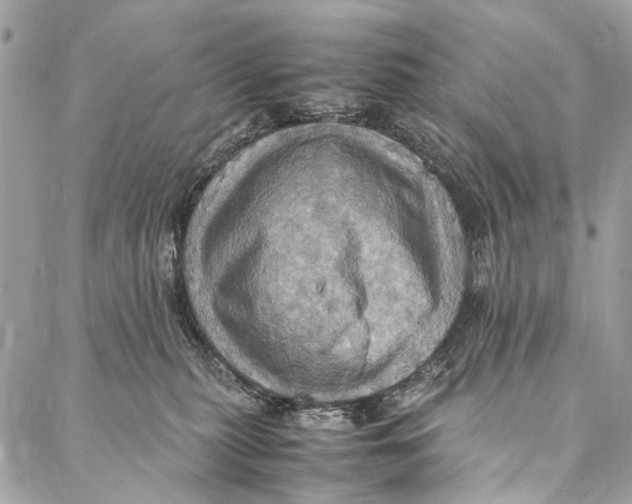 X0000086940279200705071426