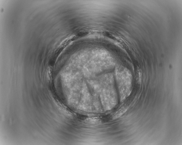 X0000086940280200705071426