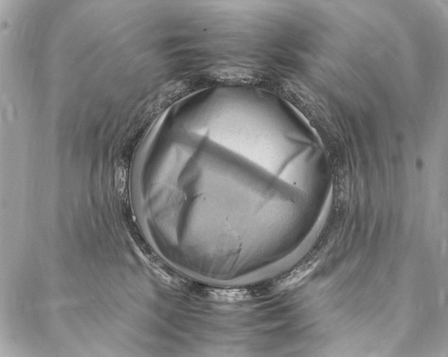 X0000086940281200705071426