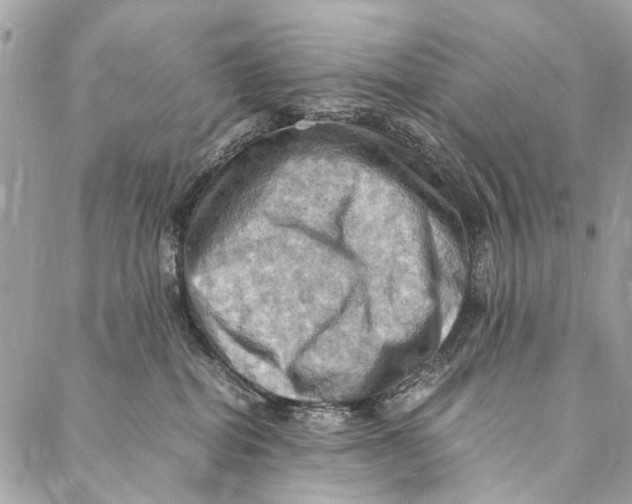 X0000086940282200705071426