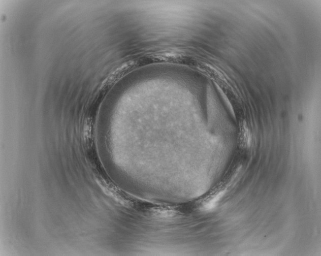 X0000086940284200705071426