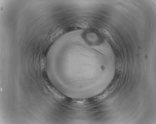 X0000086940285200705071426