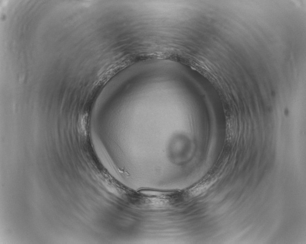 X0000086940286200705071426