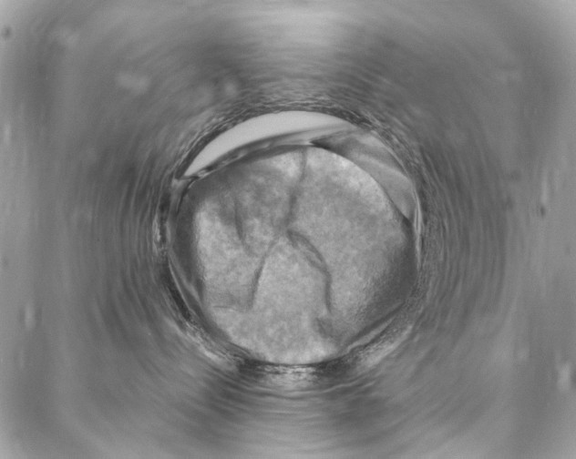 X0000086940288200705071426