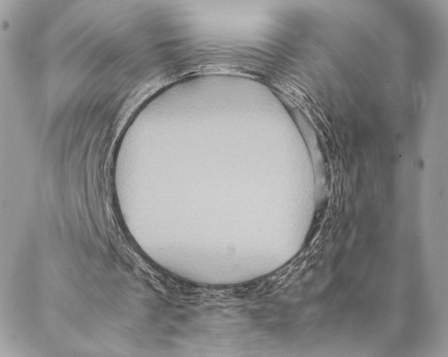 X0000086940289200705071425