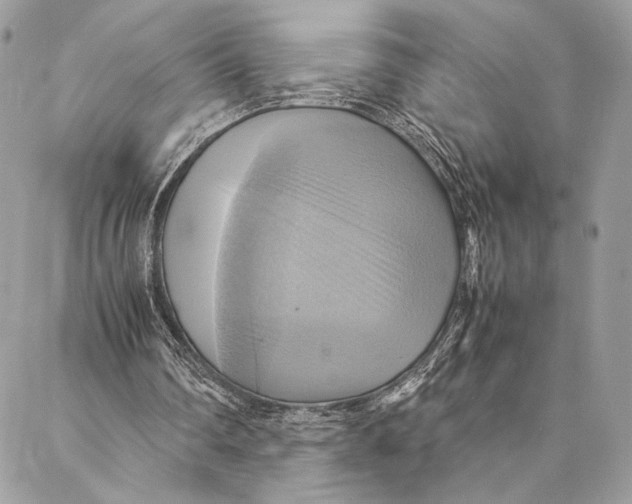 X0000086940290200705071425