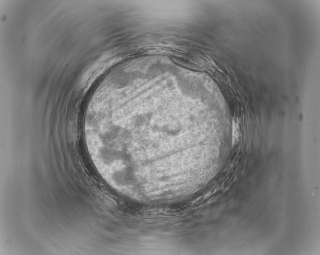 X0000086940291200705071425