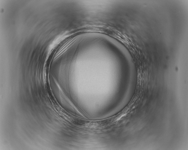 X0000086940294200705071425