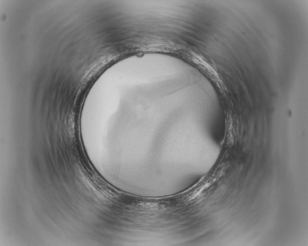 X0000086940298200705071425