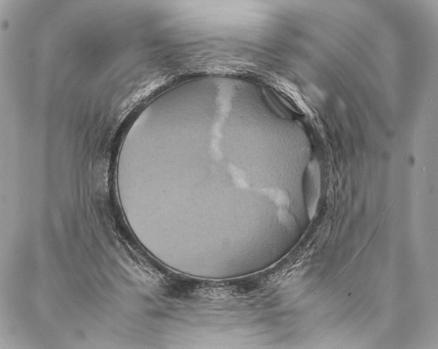 X0000086940299200705071425