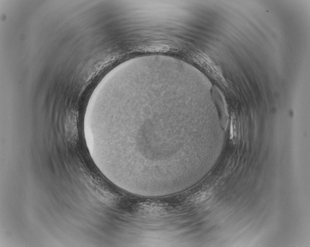 X0000086940300200705071425