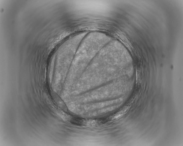 X0000086940301200705071425