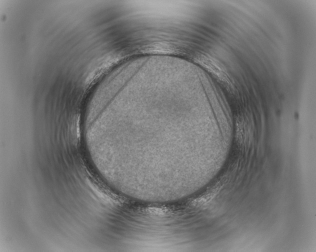 X0000086940302200705071425