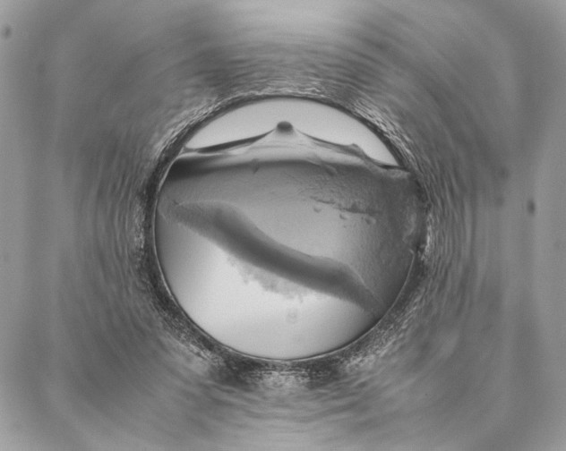 X0000086940303200705071425