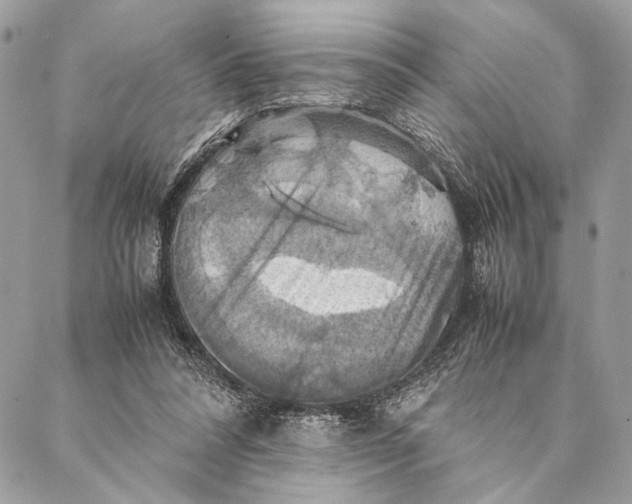 X0000086940304200705071425