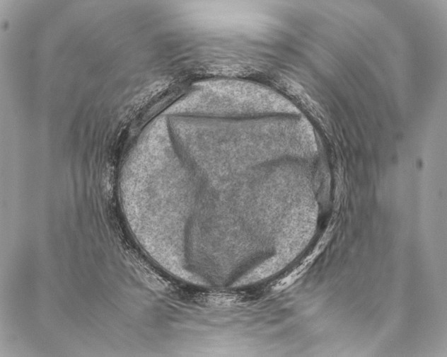 X0000086940305200705071425