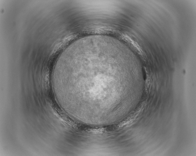 X0000086940306200705071425