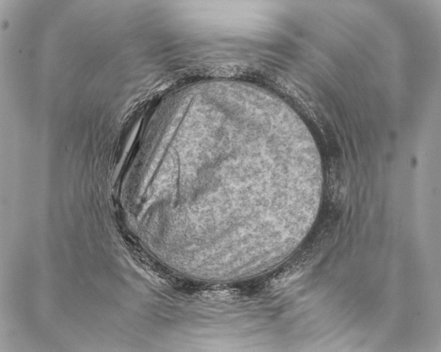 X0000086940307200705071425