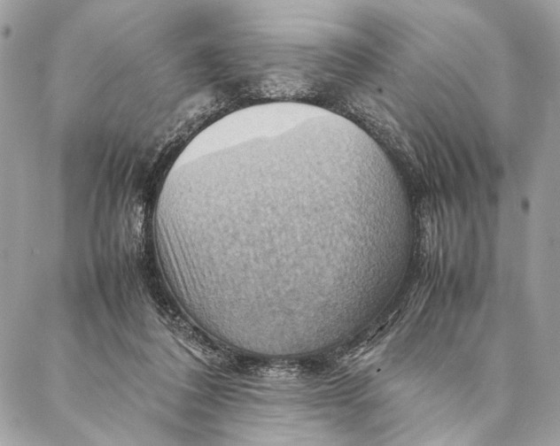 X0000086940308200705071425