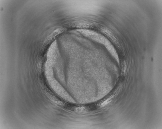 X0000086940309200705071425