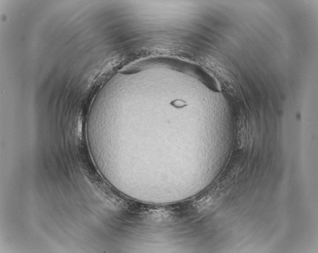 X0000086940310200705071425