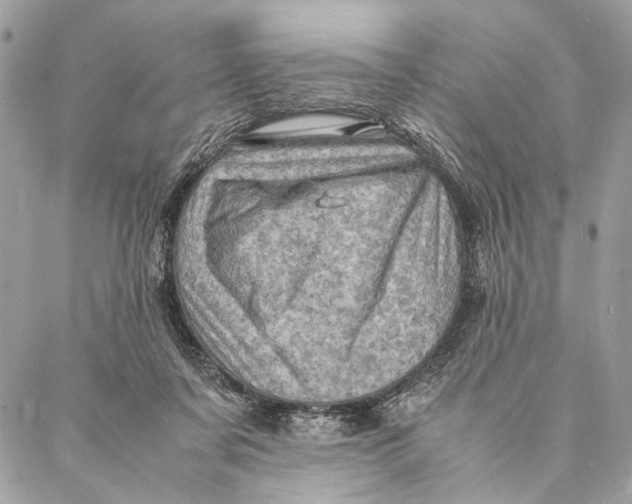 X0000086940311200705071425