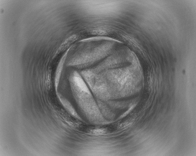 X0000086940312200705071425