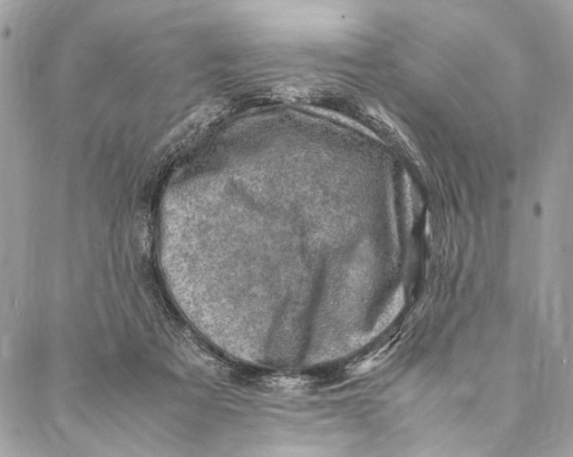 X0000086940313200705071425