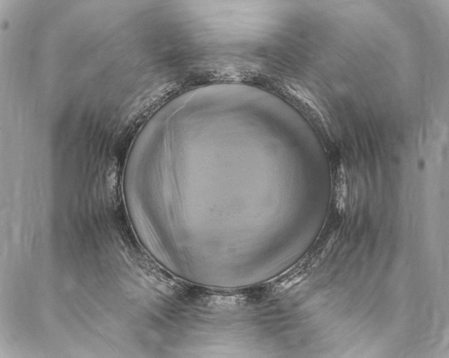 X0000086940314200705071425