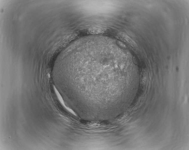 X0000086940315200705071424