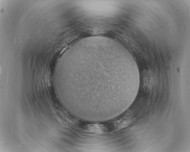 X0000086940316200705071424