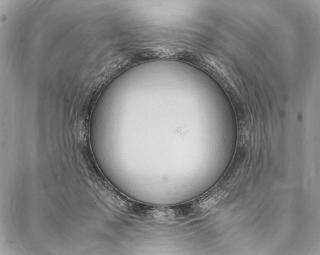 X0000086940317200705071424