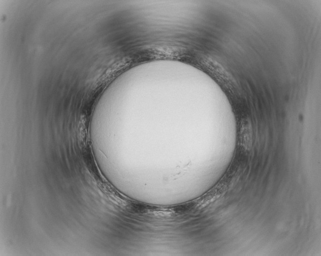 X0000086940318200705071424