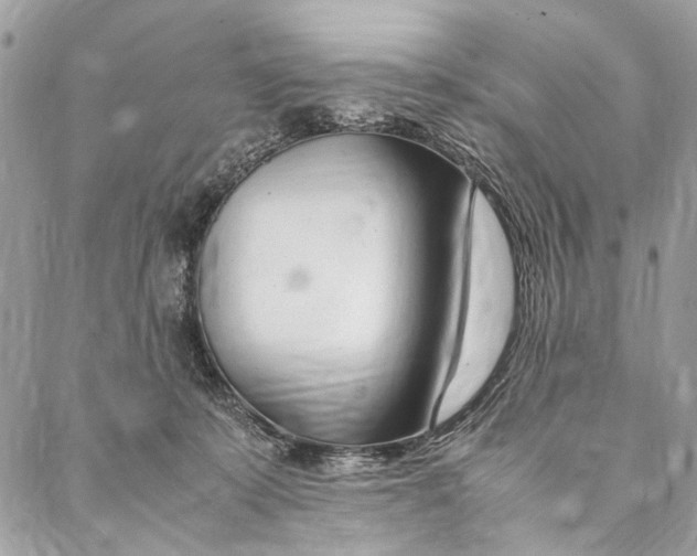 X0000086940319200705071424