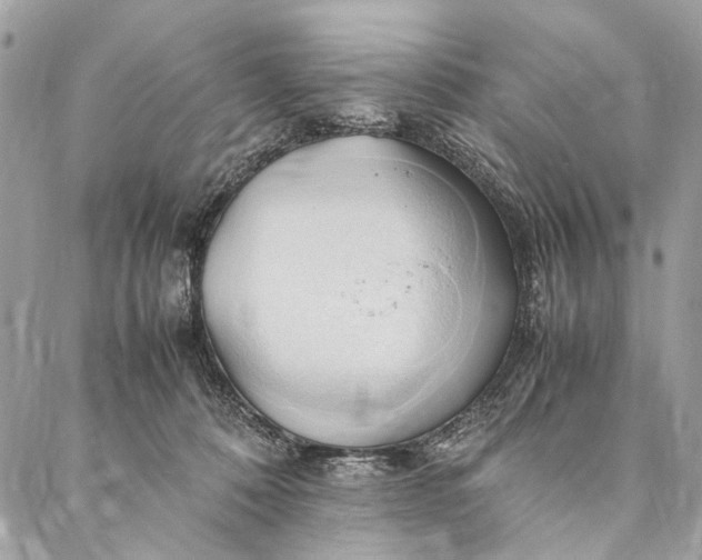 X0000086940320200705071424