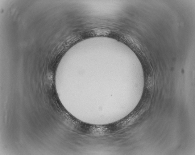 X0000086940321200705071424