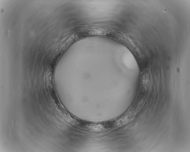 X0000086940322200705071424