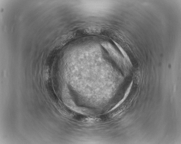 X0000086940323200705071424