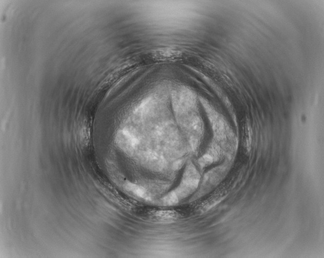 X0000086940324200705071424