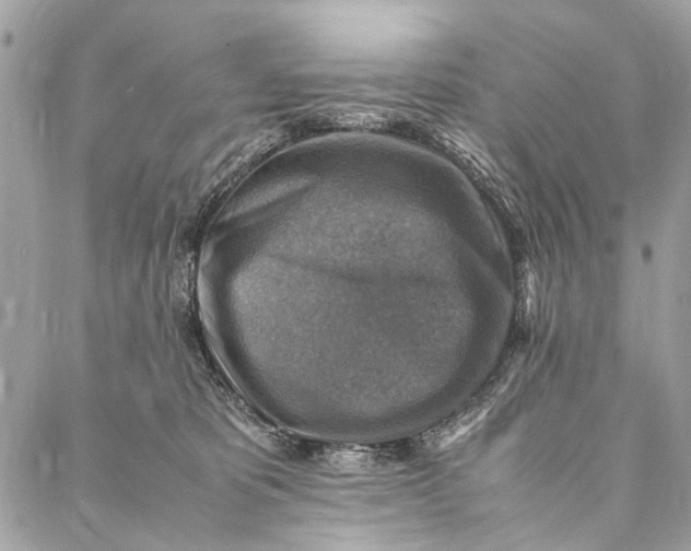 X0000086940325200705071424